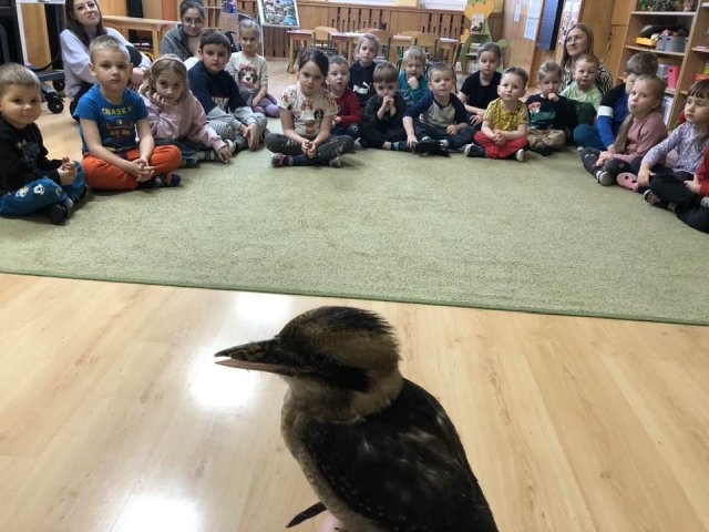 Edukacja przyrodnicza - Lipnica Poznańska